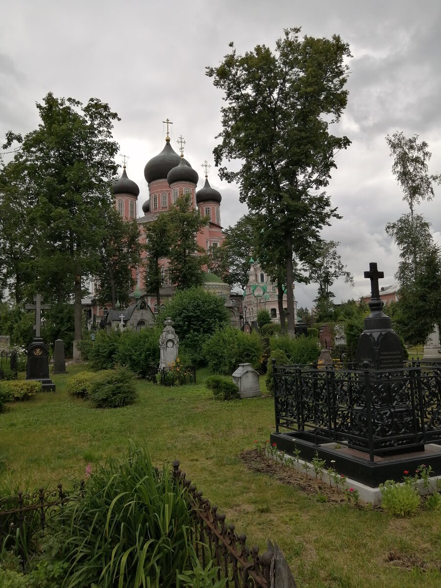 Донской монастырь. Фото автора