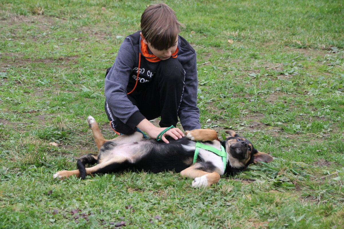 Таким неваляшкой Тимон был в детстве. Таким и остался в подростковом возрасте