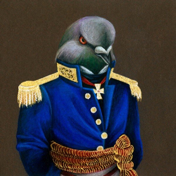 Фото из свободного доступа 