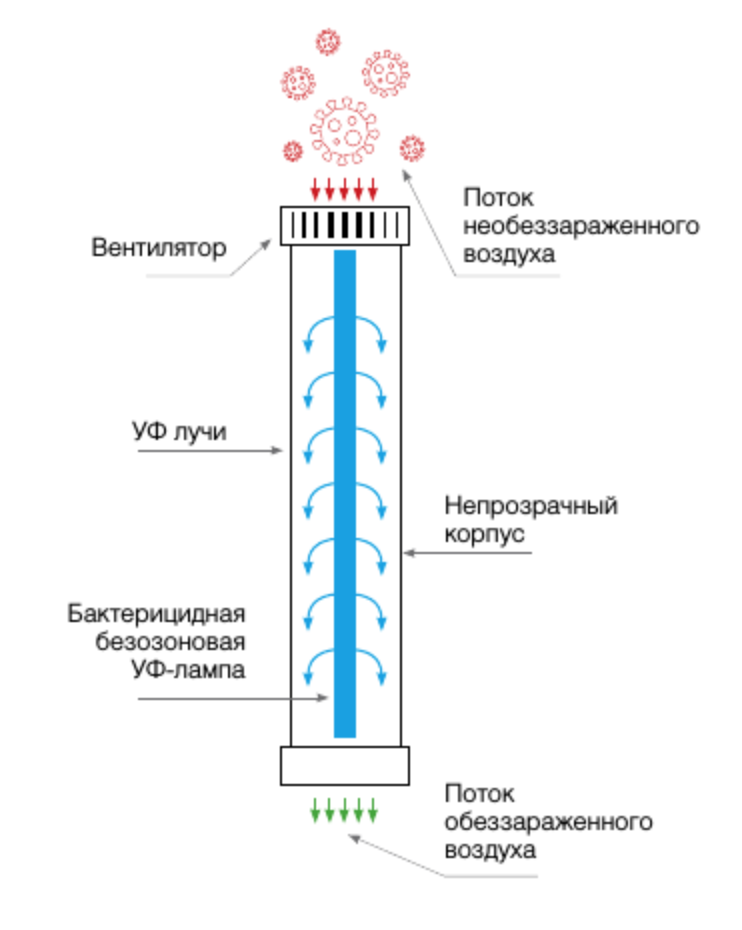 Сколько работает рециркулятор. Принцип работы рециркулятора бактерицидного. Рециркулятор бактерицидный схема потока воздуха. Бактерицидная лампа схема устройства. Бактерицидный рециркулятор воздуха конструкция.