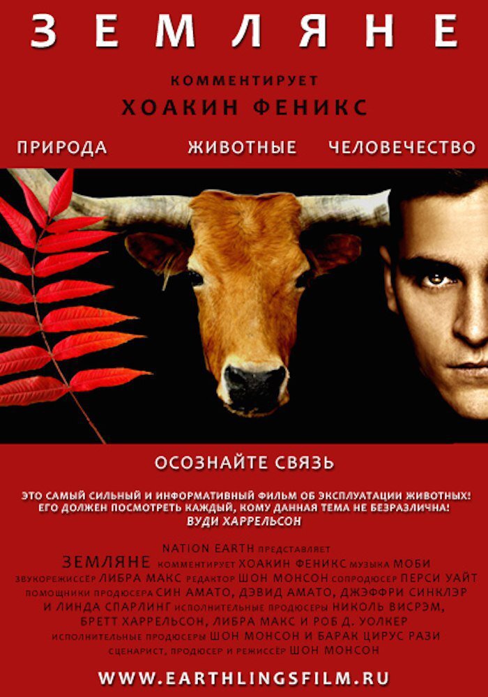 Постер