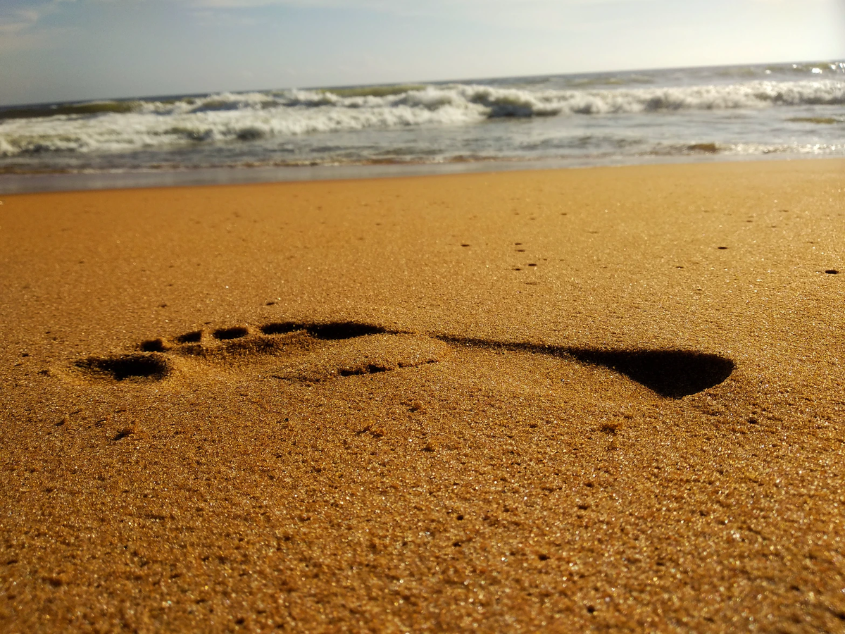 Основные составляющие нашего углеродного следа — это жилье, транспорт и еда