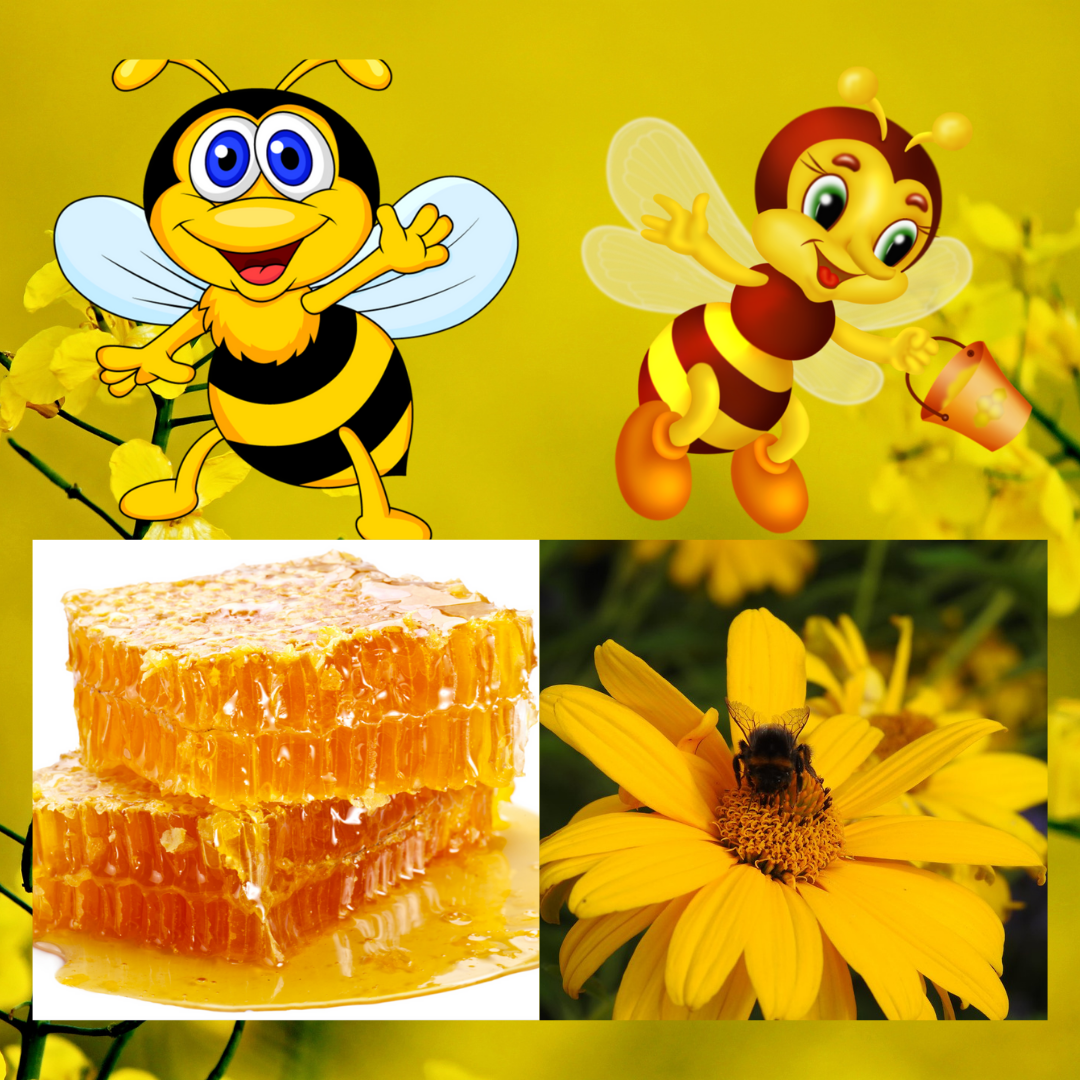 О чём  своим танцем говорят пчёлы