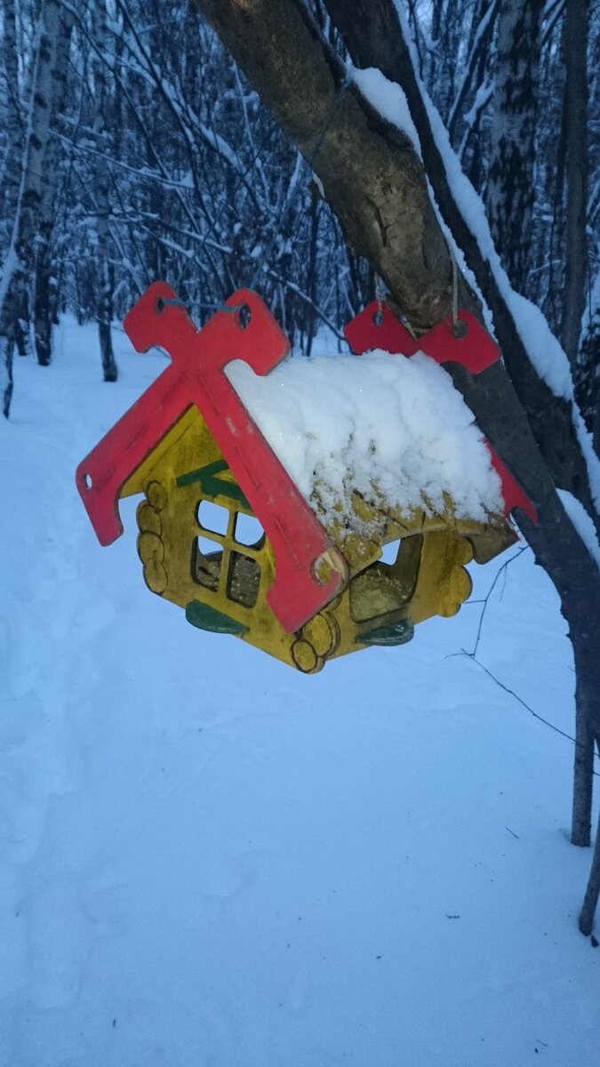 Кормушка для птиц зимой. Фото автора.