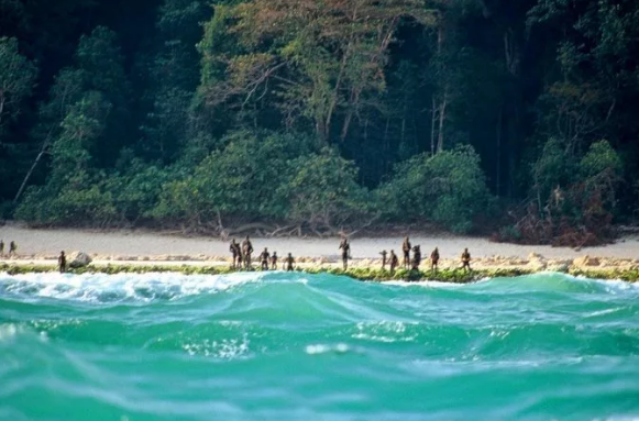 Берега острова Северный Сентинел. Источник изображений: Яндекс. Картинки