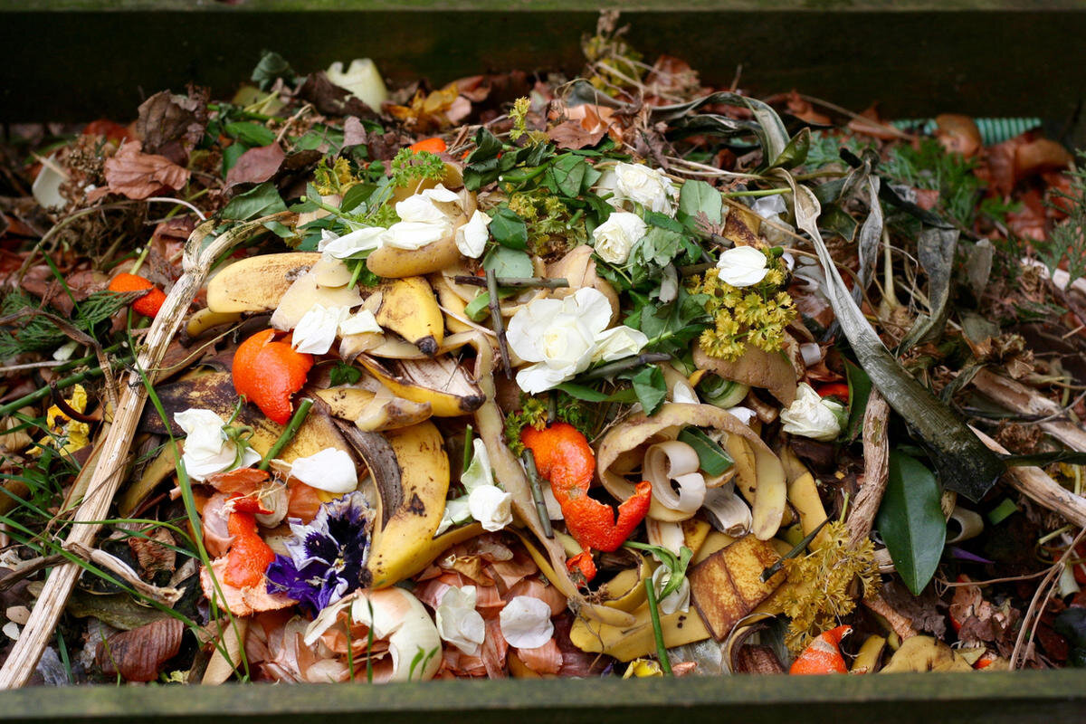 Пищевые отходы кухонь. Мусор пищевые отходы. Пищевые отходы в огороде. Пищевые и растительные отходы. Пищевые остатки.
