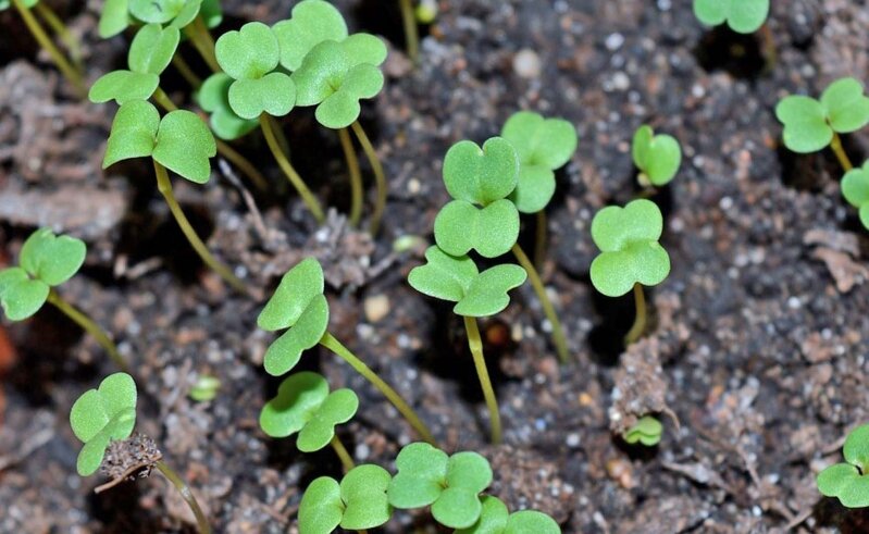 © Фото: ИД «Волгоградская правда» / Кирилл Брага / архив.