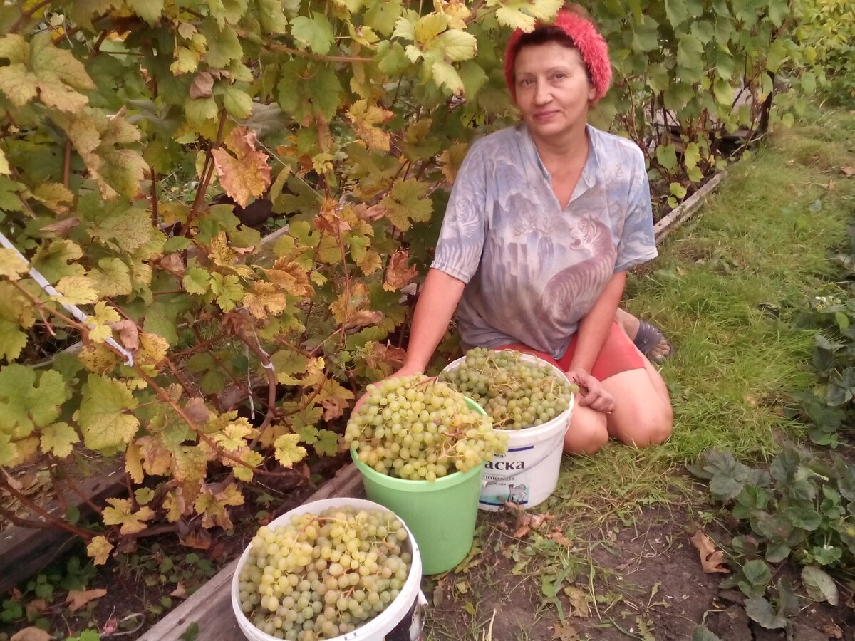 И продукты полезные