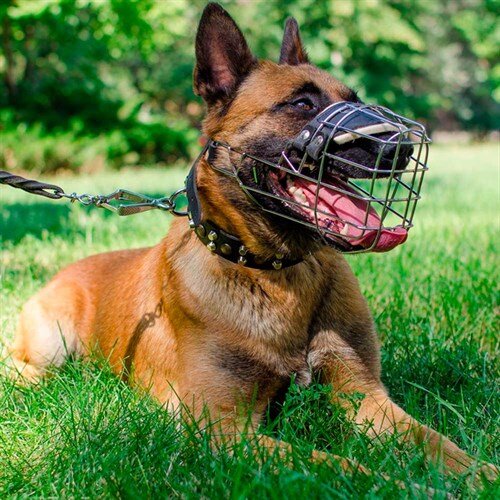 Источник фото. Яндекс Картинки