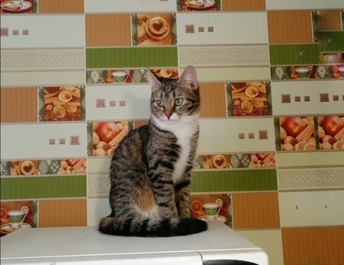 Моя любимая маленькая хищница Люся.