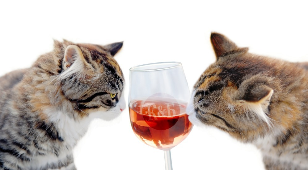 Сколько коты пьют в день. Котик с бокалом. Кот с бокалом вина. Вино для кошек. Коты с бокалами.