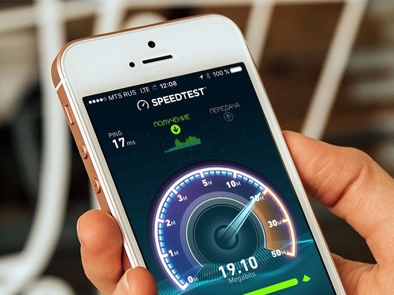 Фото: из открытых источников