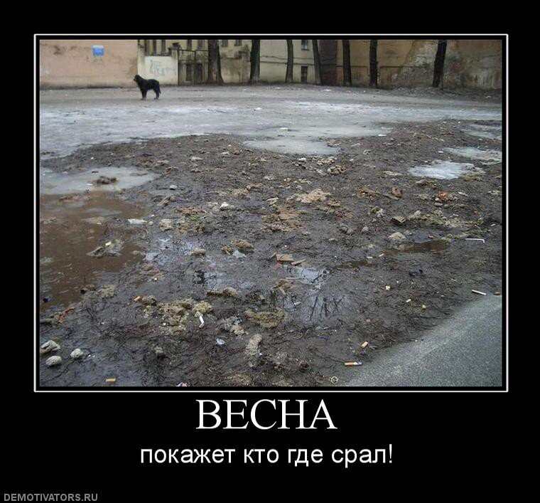 Пришли покажи. Весна покажет. Весна покажет кто где. Демотиваторы про весну. Весна покажет кто где гадил
