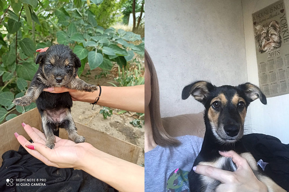 Фото предоставлено Анастасией Москаленко