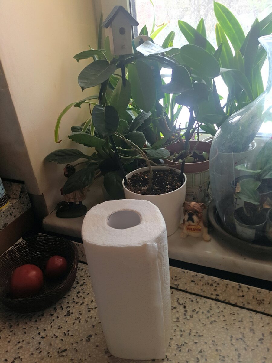 Все, что вам нужно: рулон кухонных полотенец и несколько пластиковых коробочек