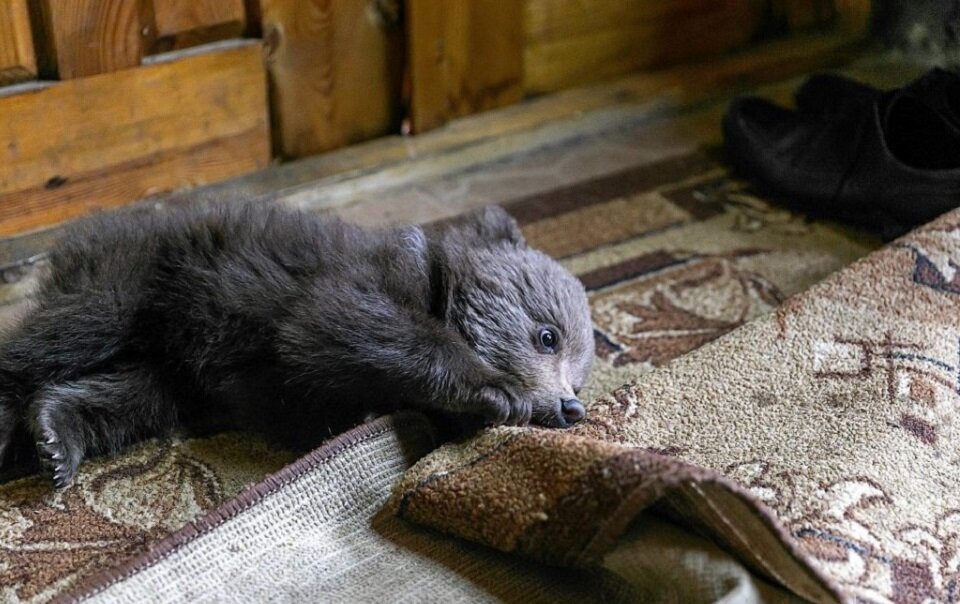 Отдых на первом этаже коттеджа 