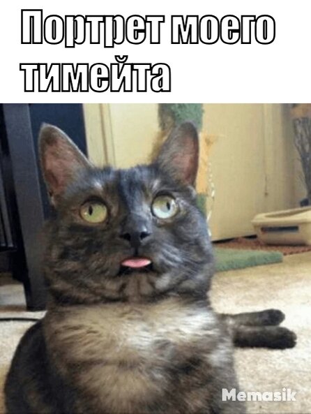 Жиза.