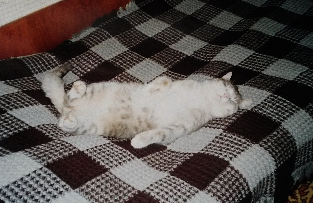 Стёпка красавец