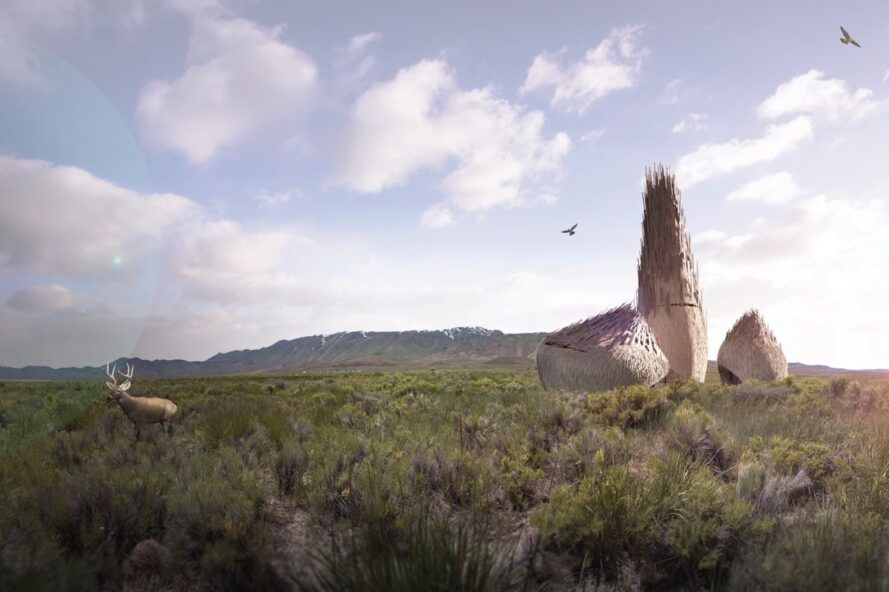 Lodgers: Serendipity in the Fly Ranch Wilderness 