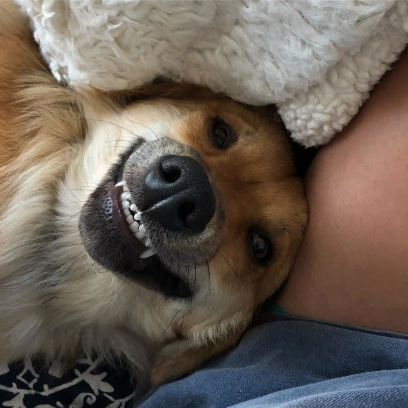 фото и информация из свободного источника