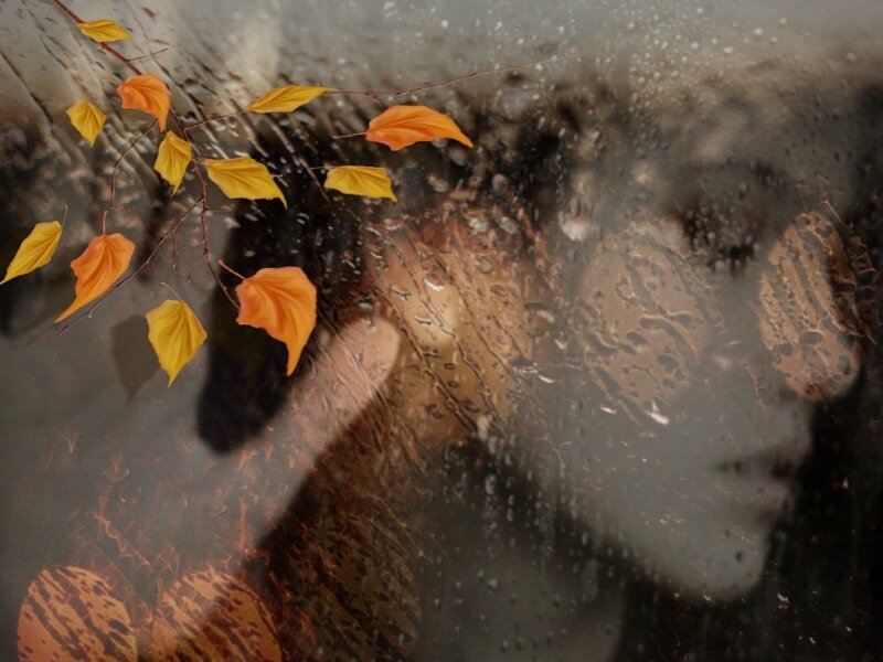 (Картинка из интернета) 