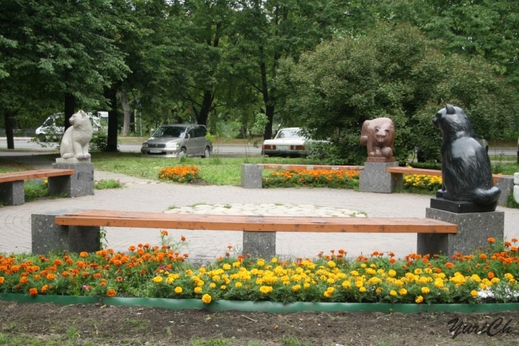 Трём гранитным кошкам в Петергофе можно загадать самое заветное желание.

Человек с давних времён подружился с кошкой. Он посвящает ей стихи и песни, пишет о ней книги, снимает фильмы, увековечивает на картинах и фотографиях. Не остались в стороне от «кошачьей» темы и скульпторы. Подтверждением этому могут служить скульптуры котов Петергофа.