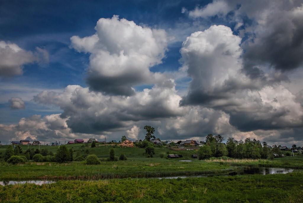 Фото — yandex.ru