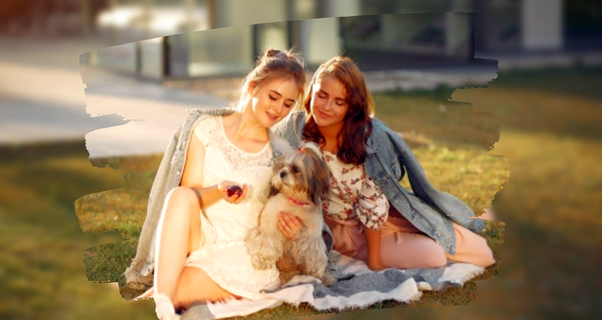 Коллаж создан автором канала в Canva