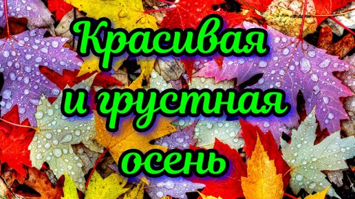 Отговорила роща золотая… — Есенин. Полный текст стихотворения — Отговорила роща золотая…