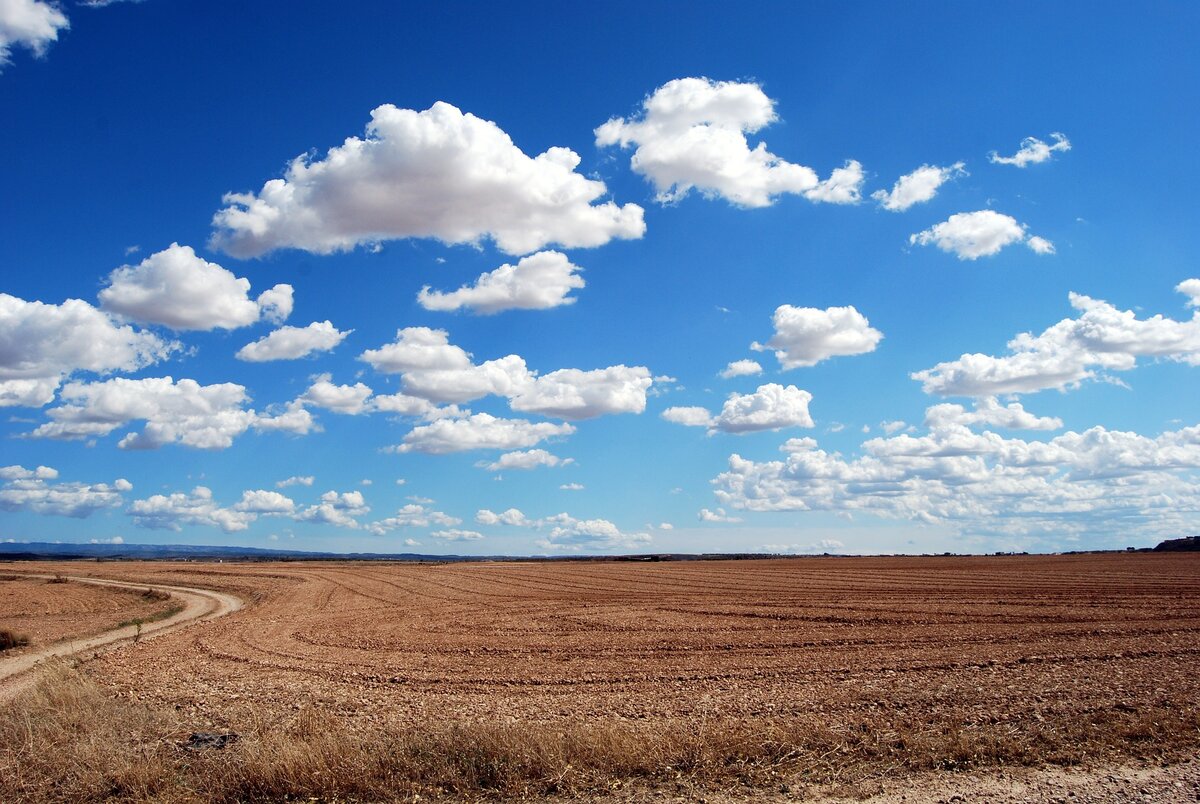 Источник:  pixabay.com