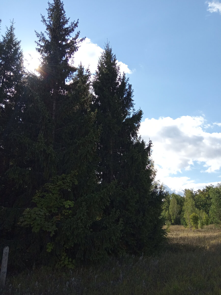 Фото из личного архива