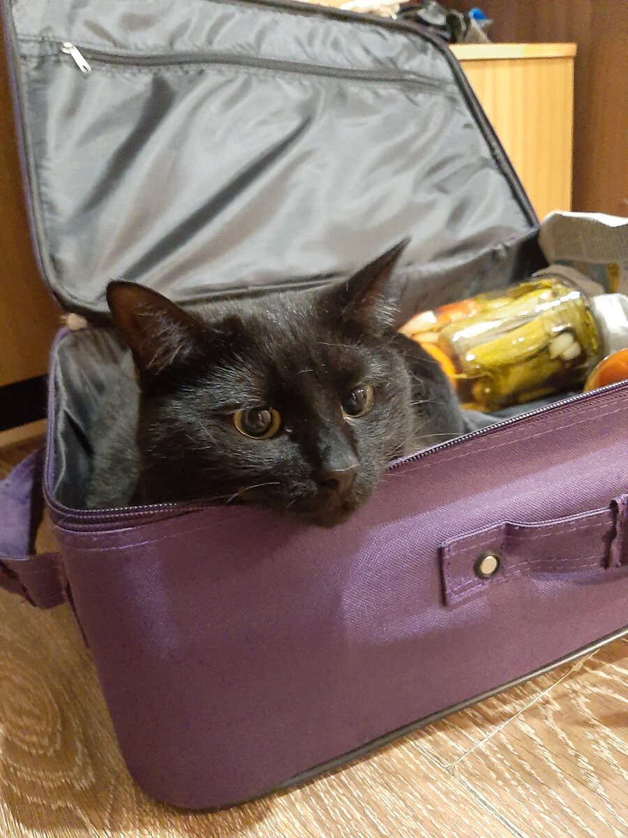 Фото из личного архива