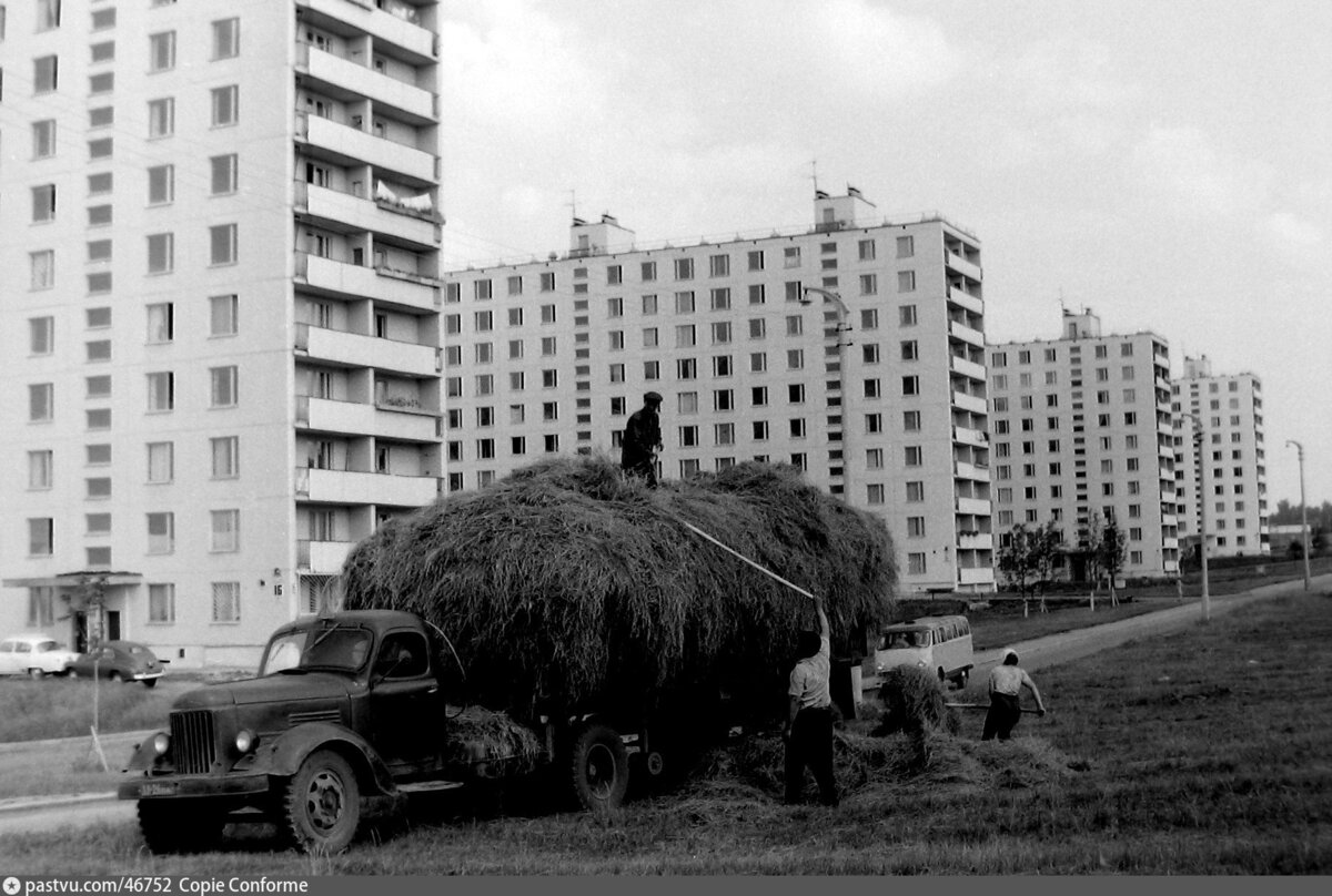 История района Москвы с одним из самых необычных названий | О Москве  нескучно | Дзен