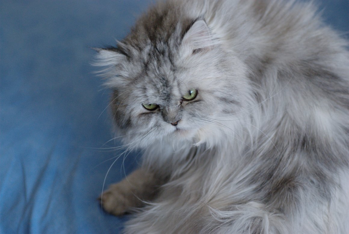 Корми и уматывайся, человек.