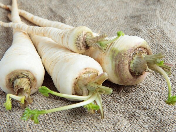 Фото: velislava-sad.ru