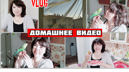 Домашнее видео | Пикабу