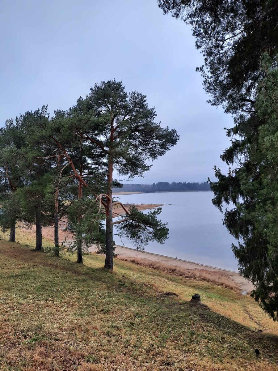 Кирилло-Белозерский и Ферапонтов монастыри -две жемчужины Вологодской  области | поездки по округе и вокруг | Дзен