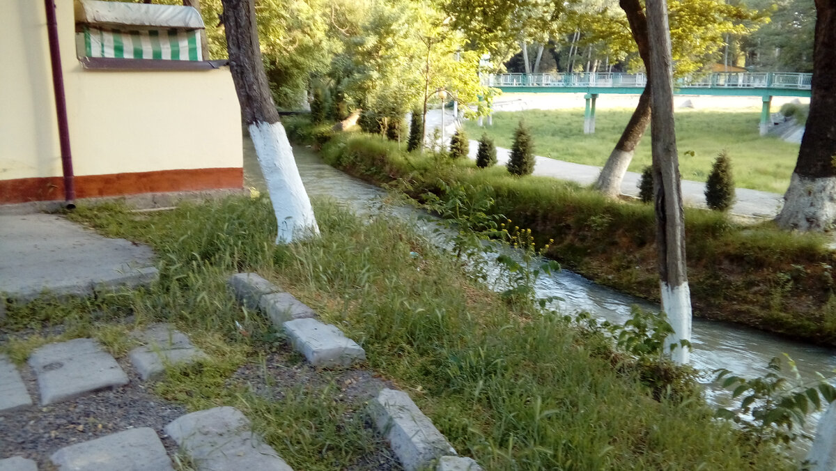 Начало лета 2021 года, парк закрыт и не одного сума в реконструкцию не вложено.