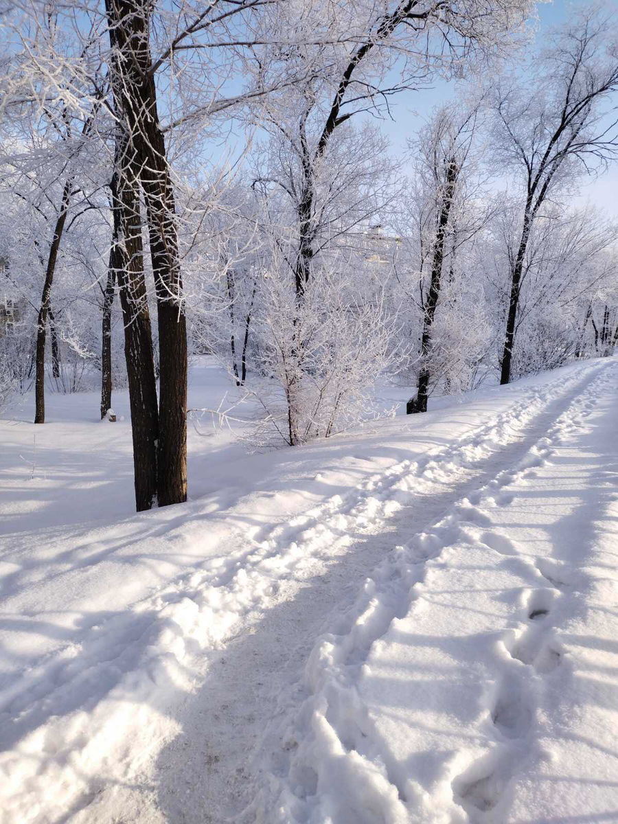 Сказка сказочная 