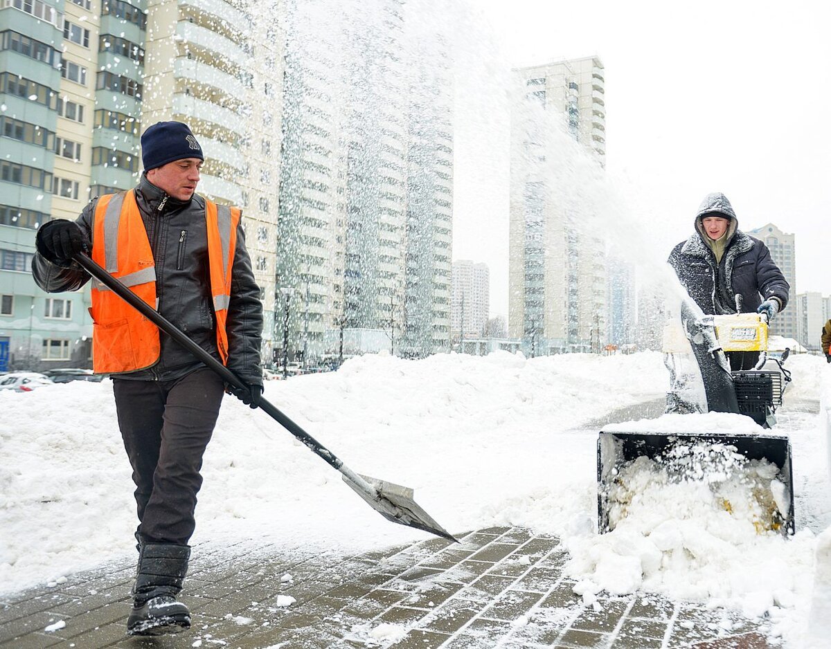 Дворники в москве