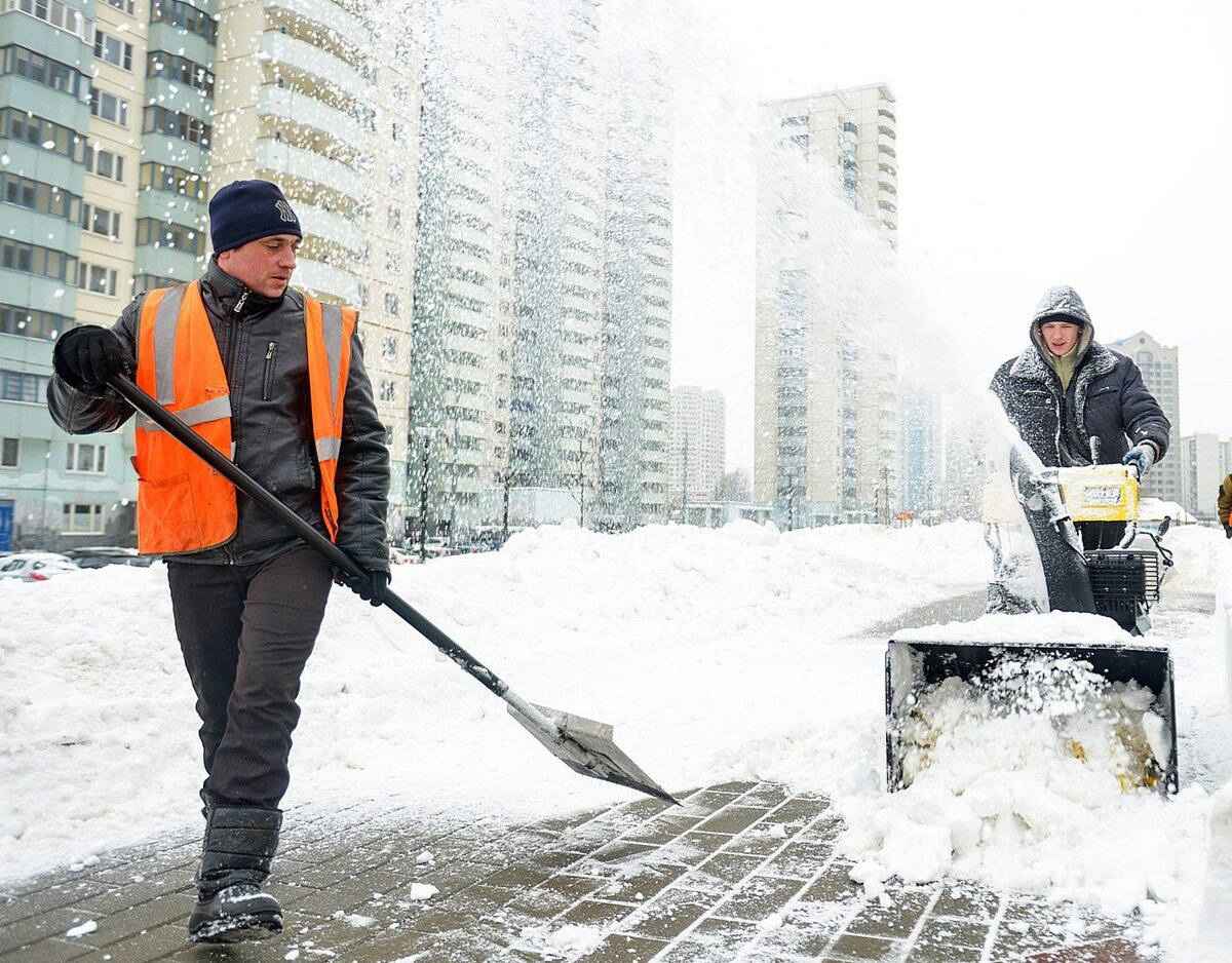 дворники в москве