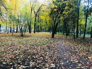 фото сделанное автором