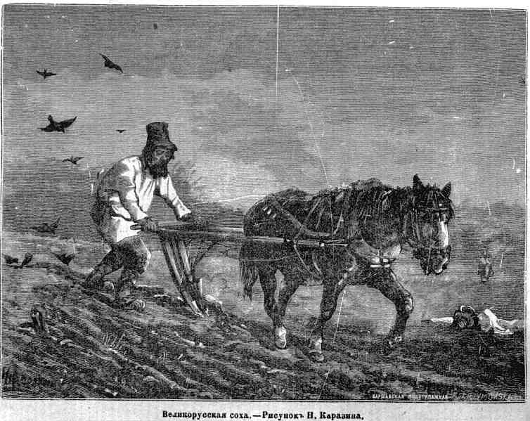 Почему русские не едят лошадей, а казахи без конины жить не могут4