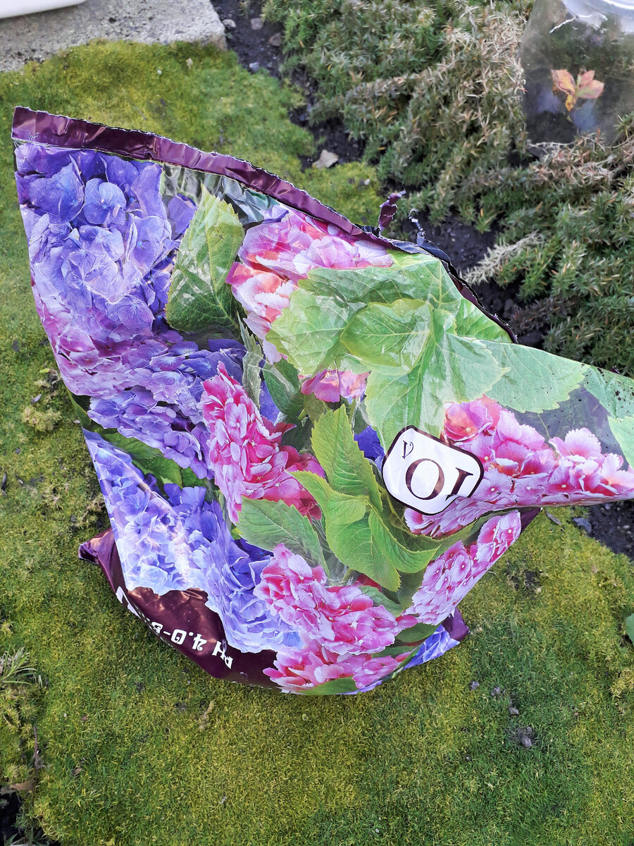 Это кислая почва для гортензий ее pH 4.0 для рассады она не подходит...