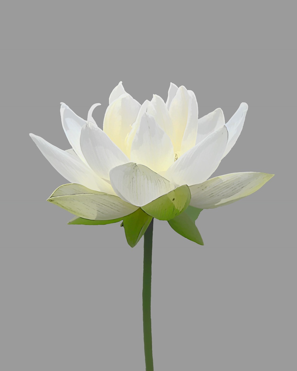 Изображение с сайта Pixabay