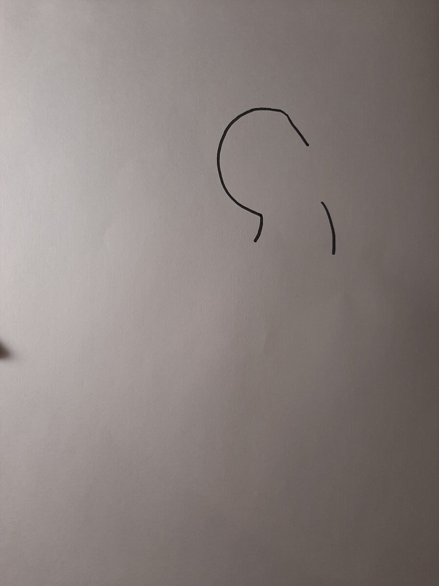 Начало рисунка-голова петушка