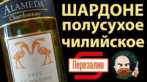 Аламеда Шардоне Alameda Chardonnay 2020 Чили Магнит