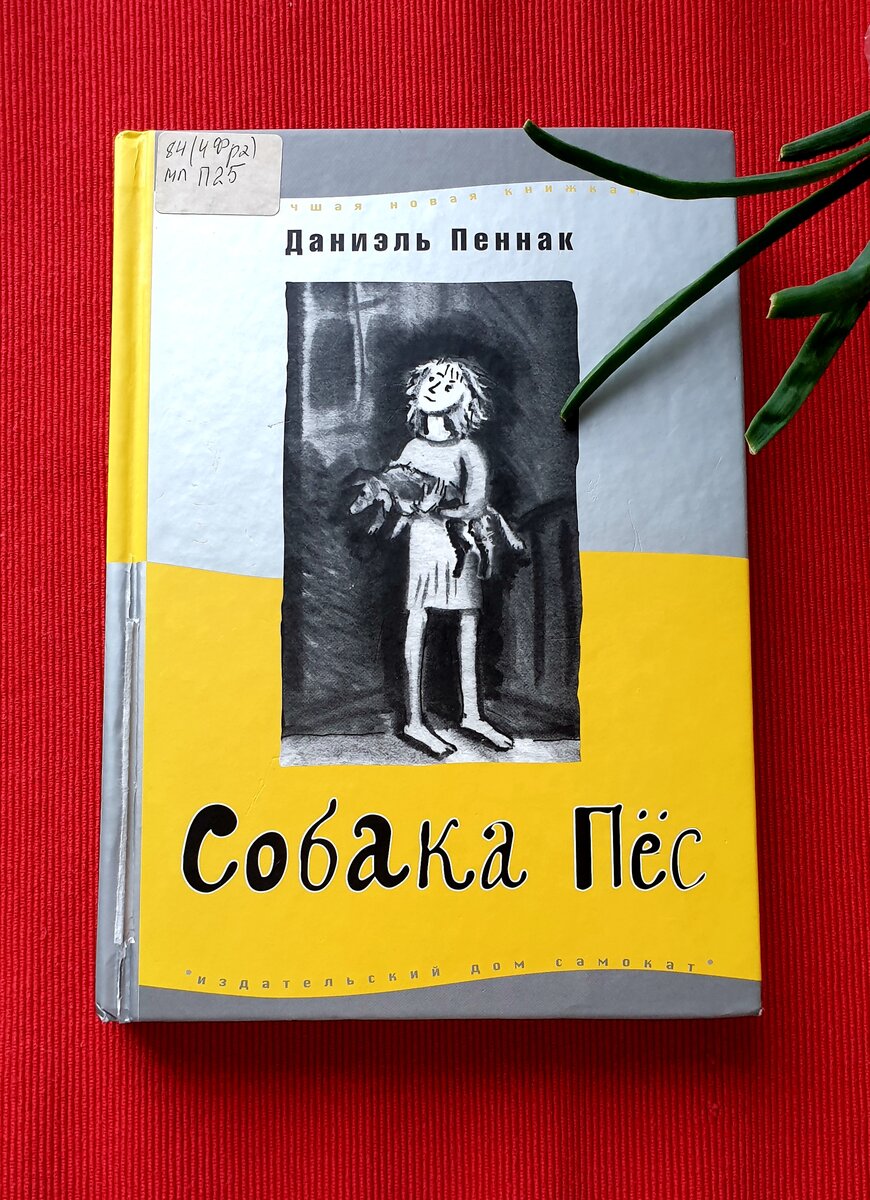 Почему ребенку стоит прочитать книгу «Собака Пес» | ДЕТИ КНИГИ ПУТЕШЕСТВИЯ  | Дзен