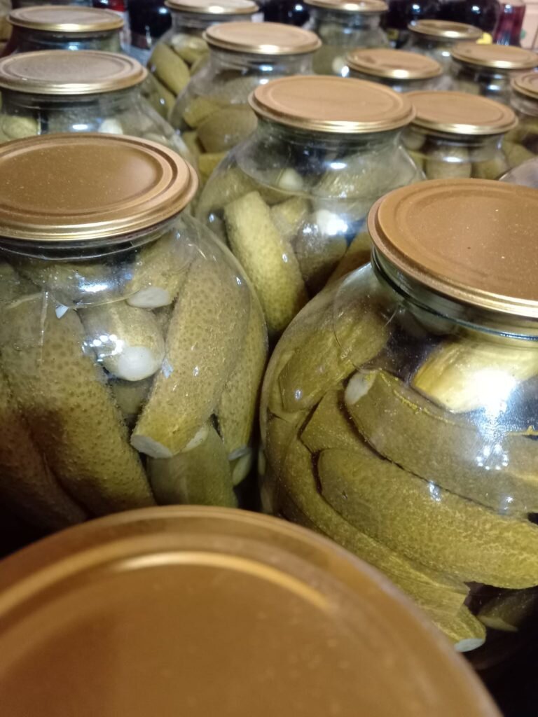 Огурцы консервированные