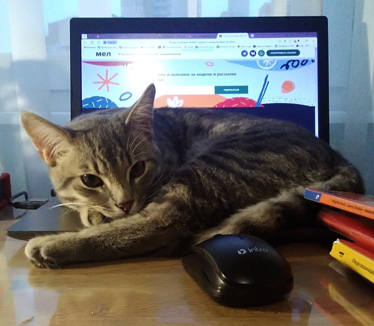 Красавчик😍